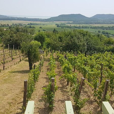 Grand Cru Vendégház Hegymagas Exterior foto